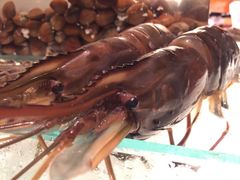 -Ministry of Crab(科伦坡店)