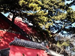 -妙峰山风景名胜区