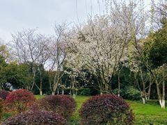 -西湖天地