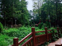 -洪湖悦兮半岛国际温泉度假村