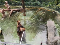 -深圳野生动物园
