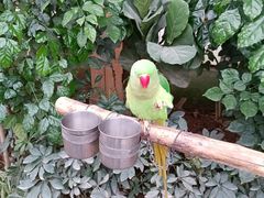 -南宫五洲植物乐园