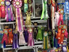 -Bastet sally猫舍购宠(静安店)