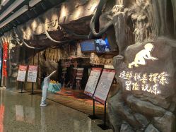 -探洞工场(丰科万达旗舰店)