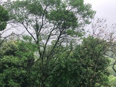 -杭州林泉山庄