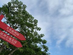 -东莞植物园