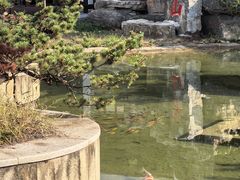 -句容茅山景区