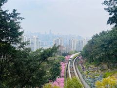 -关岳庙