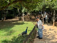 -昆明动物园