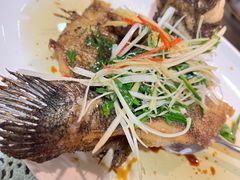 -熠盛粤味·顺德桑拿鸡(永康路店)