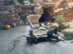 -石家庄市动物园