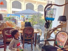 -more than meow吴止猫主题餐厅(承德 中船汇店)