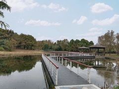 -同里国家湿地公园