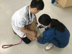 -谐和贝康宠物医院24小时·宠保定点(急重症转诊中心)