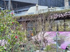 -胡桃里音乐酒馆(环亚凯瑟琳广场店)