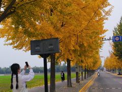 -西北农林科技大学(北校区)