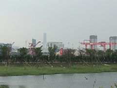 -芒洲湿地公园
