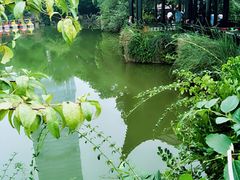 -固生堂中医连锁·推拿正骨·针灸艾灸(崇安寺分院)