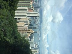 麦奀云吞面世家(太平山店)-麦奀云吞面世家 山顶店(山顶广场店)