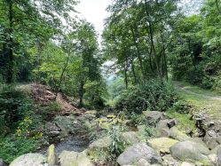 -天邑国际酒店·宴会厅