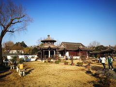 -盆景园(扬州大运河文化旅游度假区)