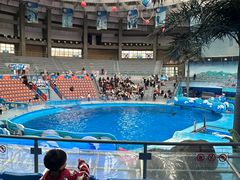 -海合安成都极地海洋公园