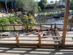 -北京鹿世界主题园