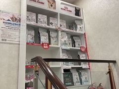-宠爱国际动物医院·疑难骨科·心肾内科·皮肤科(太阳宫店)