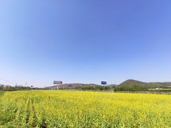 -大连铭湖国际观光牧场