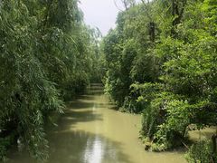 -同里国家湿地公园