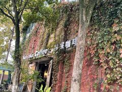 -猫屎咖啡(陶溪川店)