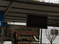 -竹泉村旅游度假区