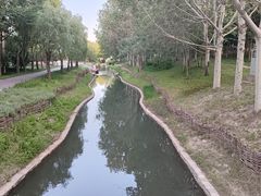 -北坞公园