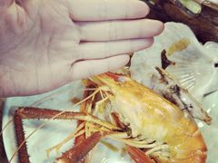 -Thai Basil罗勒叶泰式餐厅(时代天街店)