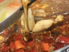 -销魂美蛙鱼头火锅(上海首店)