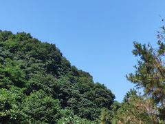 -西安祥峪森林公园