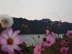 -北京中信金陵酒店
