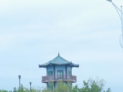-盐洲岛