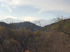 -白水寺森林公园