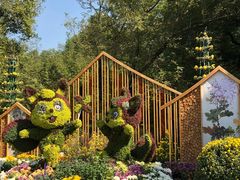 -上海共青森林公园