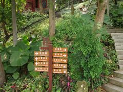 -乌山风景区