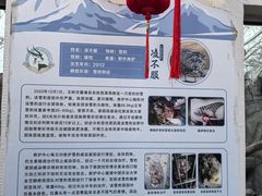 -青藏高原野生动物园