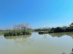 -大湾区中央湿地公园