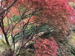 -幕燕滨江·燕子矶公园
