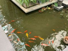 -绿房子方寸咖啡(星海名城店)