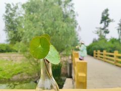 -门城湖公园
