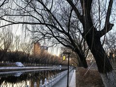 -南长河公园