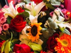 -刘一锅筋头巴脑(小北店)