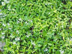 -峄山风景名胜区