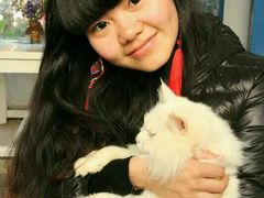 android_upload_pic-Anne猫窝咖啡屋